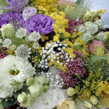 Barć Dębowa Exterior