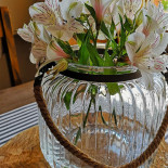 Barć Dębowa Bebida