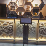 Barć Dębowa Bebida