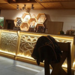 Barć Dębowa Bebida