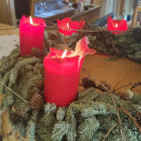 Barć Dębowa Dentro