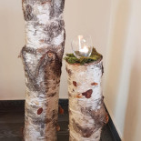 Barć Dębowa Bebida