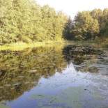 Jesionowa Imprezy Okolicznościowe Na zewnątrz