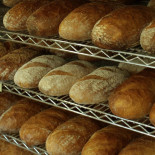 Czader. Bakery, Pastry Shop Dania