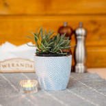 Weranda W Ustce Bebida