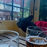 Sapori Divini Napój