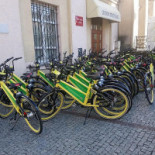 Pod Zielonym Grzybkiem S.c. Hamara T. Ruczkowska-hamara M. Napój