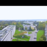 Smażalnia Ryb Świeże Pyszne Ryby Na zewnątrz