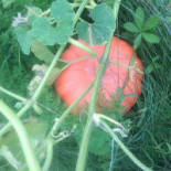 A Nóż Widelec Bebida