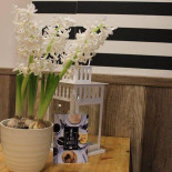 A Nóż Widelec Dentro