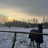 Folwark Nadawki Napój