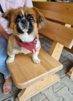 U Leszka I Ewy Drink