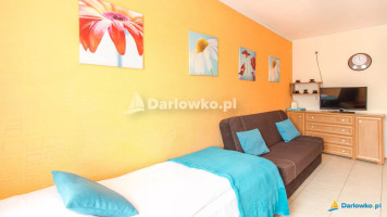 Bistro U Pirata Carte