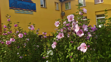 Bistro U Pirata Exterior