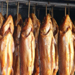 Rybaczówka Nourriture