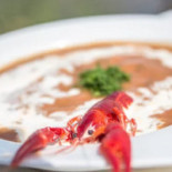 Rybaczówka Nourriture