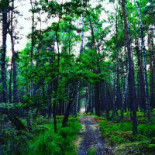 Spinaker I Restauracja Extérieur