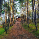 Spinaker I Restauracja Extérieur