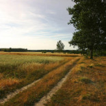 Bumerang Na zewnątrz