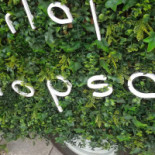 Turlaj Klopsa Vegan Exterior