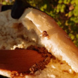 Przystanek Vietnam Bánh Mì Coffee Dania