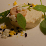 Copernicus Nourriture