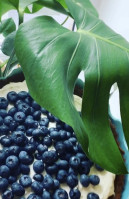 Winkiel Kawiarnia Bebida