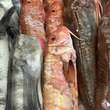 Marlin Fish Chips Sklepy Rybne Dania