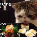 Propaganda Nourriture