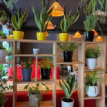 Hello Vietnam 2 Extérieur