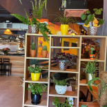 Hello Vietnam 2 Extérieur