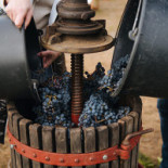 Wine&more Sklep Z Winami, Delikatnie Włoskie, Zestawy Prezentowe Napój