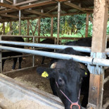 Old Forge Pub Exterior