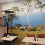 All Season African Na zewnątrz