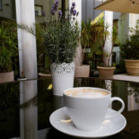 Fitzner Caffe Boisson