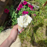 Słynne Lody Naturalne Napój