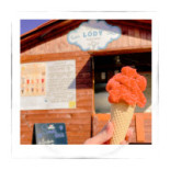 Słynne Lody Naturalne Menu