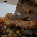 Felicita Pizza Napój