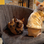Kocia Kawiarnia Cat&alice Napój
