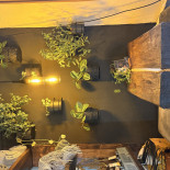 Z Ikra Wewnątrz