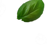Rodzinna Paweł Łopata Napój