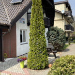 Mysliwskie Zacisze Restauracja Na zewnątrz