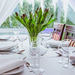 Nowa Aleksandria Restauracja Napój