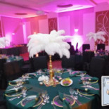 Platinum Budzyn Comida