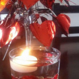 Cicha Zatoka Nourriture