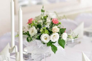 Biała Sala Nourriture