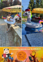 Str:eat Cynamonowy Słoń Comida