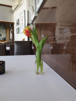 „olimpijska” Comida