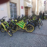 Pod Zielonym Grzybkiem S.c. Hamara T. Ruczkowska-hamara M. Dania