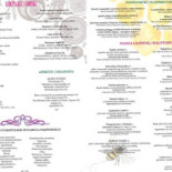 Miódmaliny Café Carta